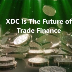 XDC Future Bitcoin WeAreXDC Song - Best Crypto Community XinFin